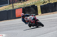 brands-hatch-photographs;brands-no-limits-trackday;cadwell-trackday-photographs;enduro-digital-images;event-digital-images;eventdigitalimages;no-limits-trackdays;peter-wileman-photography;racing-digital-images;snetterton;snetterton-no-limits-trackday;snetterton-photographs;snetterton-trackday-photographs;trackday-digital-images;trackday-photos